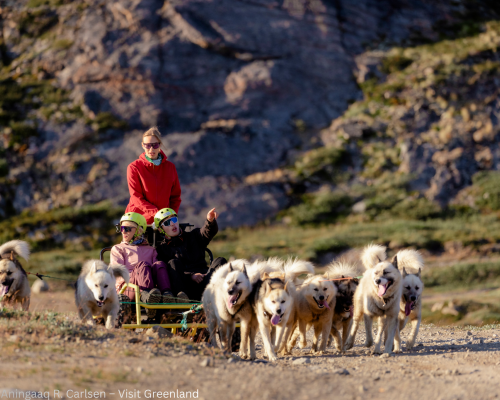 Dog Carting Tour